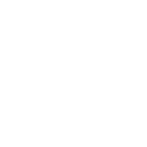 Data & Security White