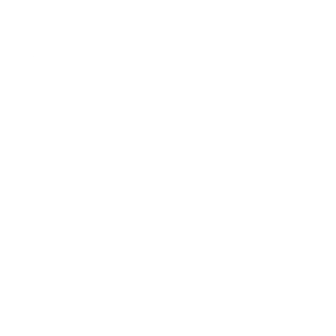 Data & Security White